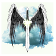 lifeguardian.png
