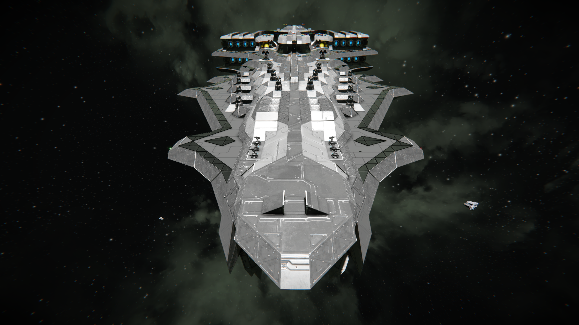 eunectes front view
