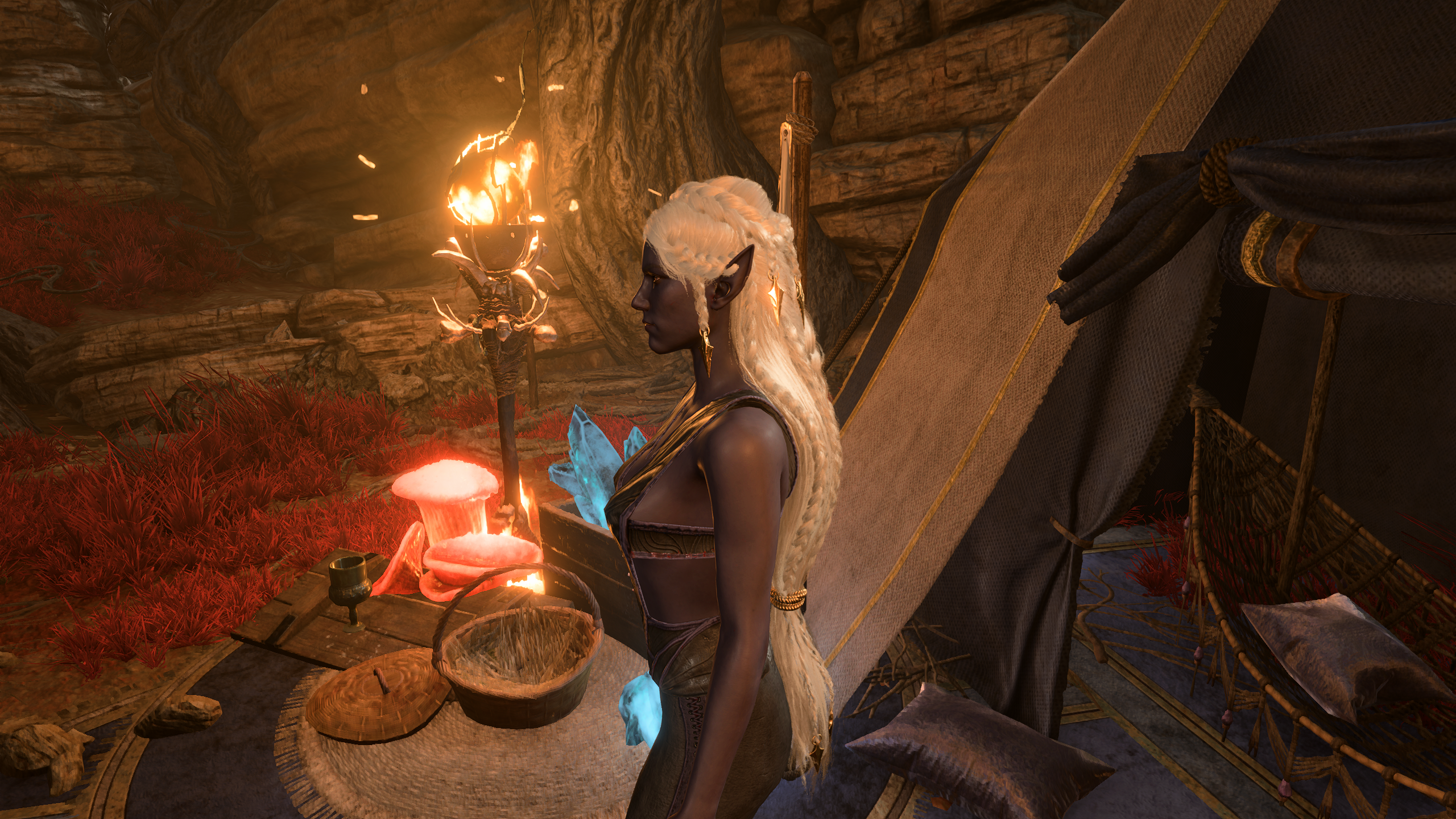 Kalidor的随从伴侣 (Kalidor’s Alter Companions)