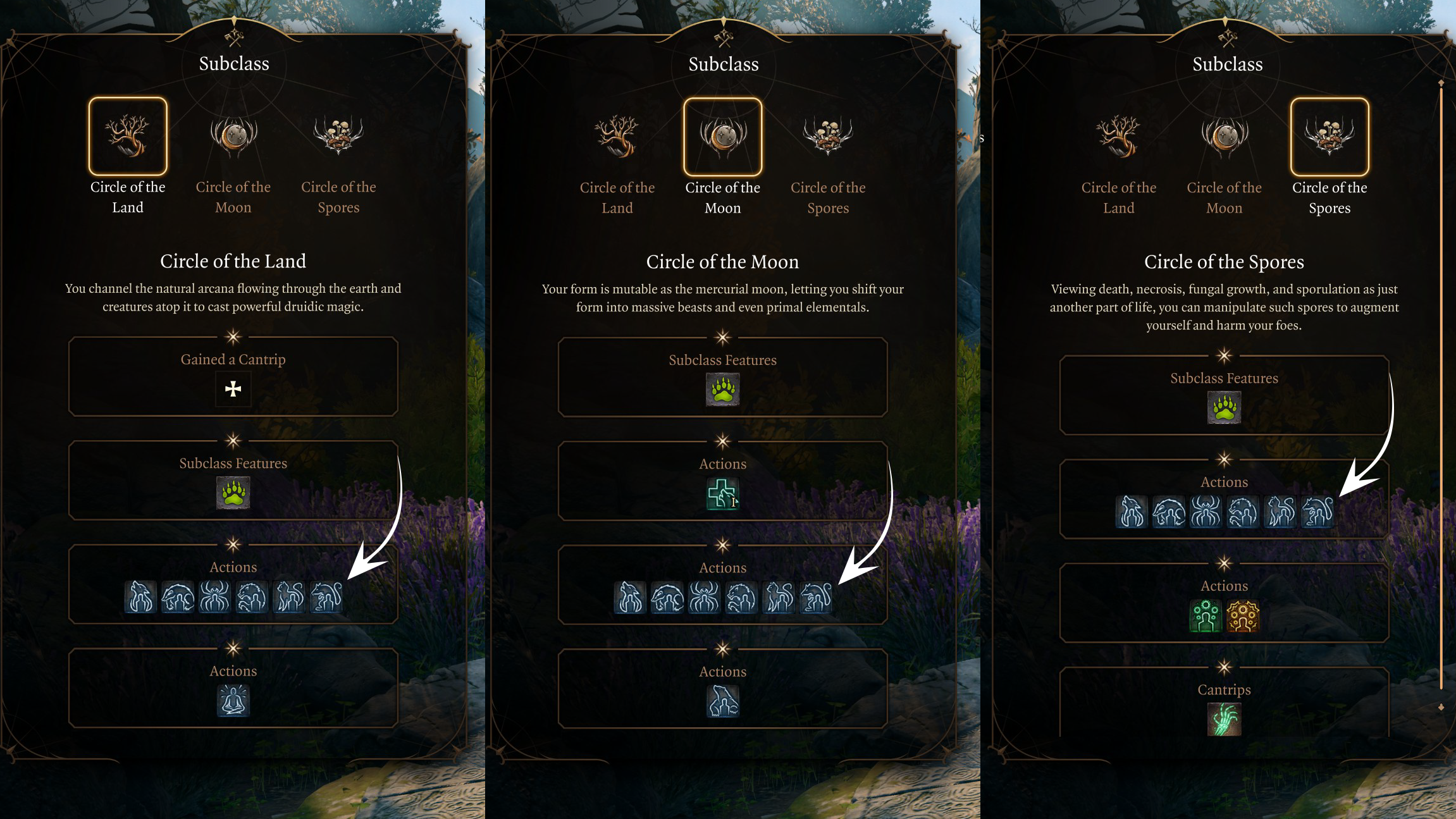 野化形态：老鼠 (Wild Shape: Rat)