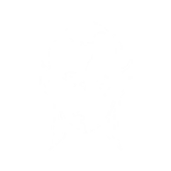 星界半精灵 (Astral_Half_Elf)