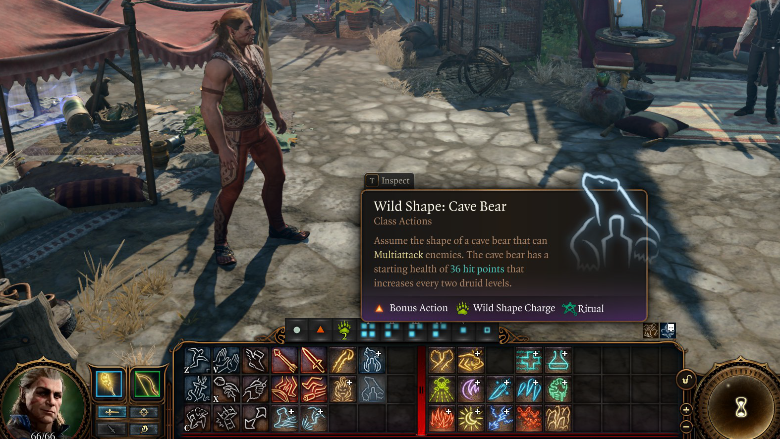 BFR：野化形态作为仪式法术（全部） (BFR: Wild Shapes as Ritual Spells (All))