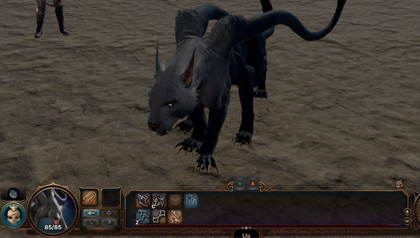 我们是猫 (Us is cat)