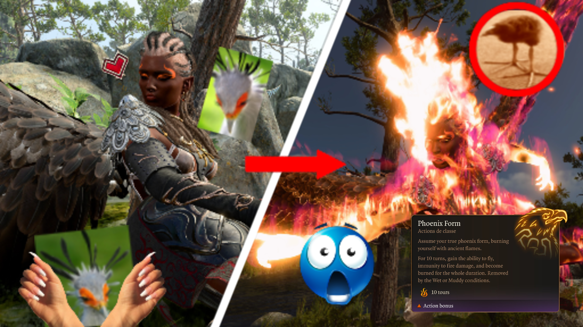 半凤凰种族 (Half Phoenix Race)