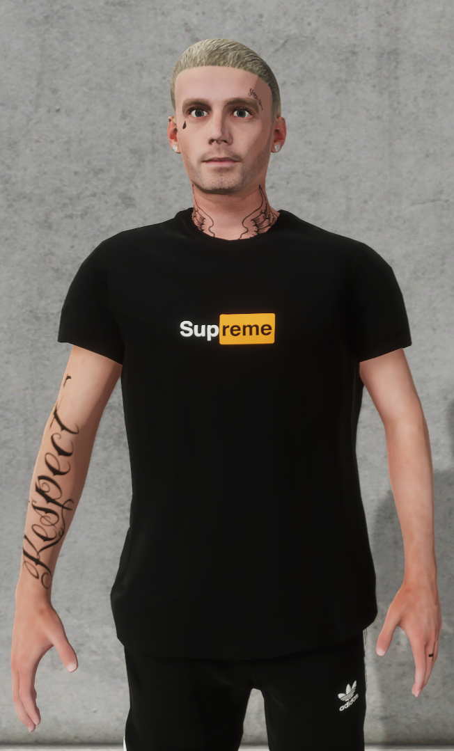 Supreme PHub Mod For Skater XL Mod io