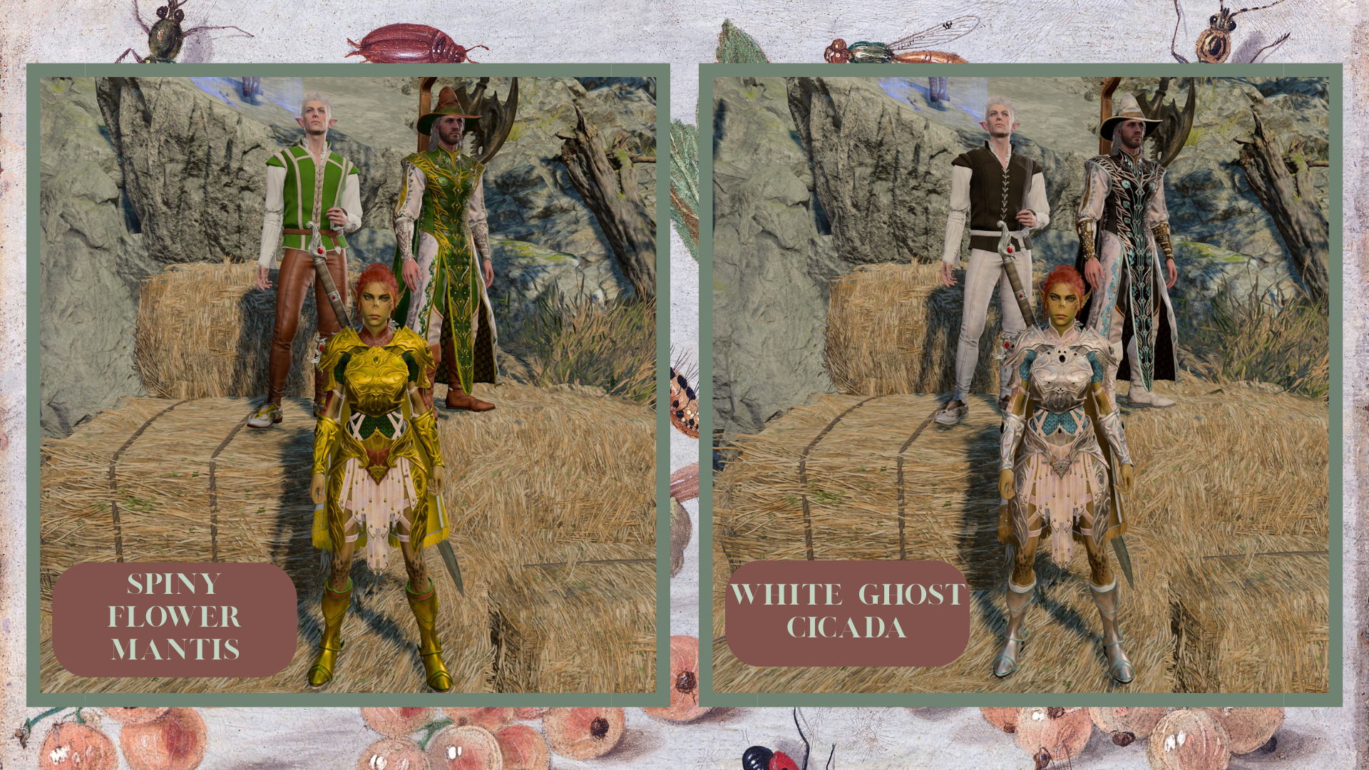 昆虫染料 (Insect Dyes)