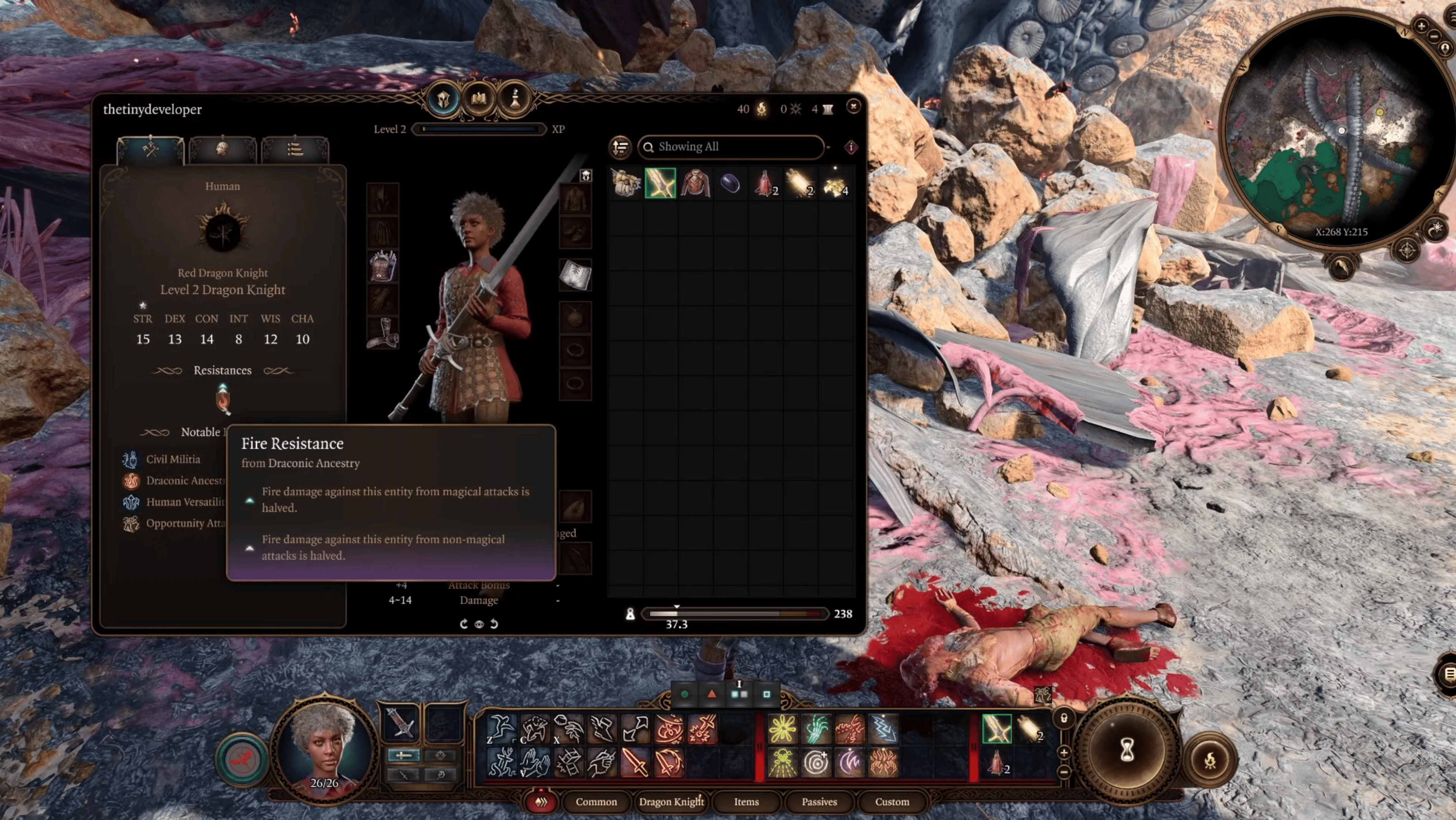 龙骑士 (Dragon Knight)