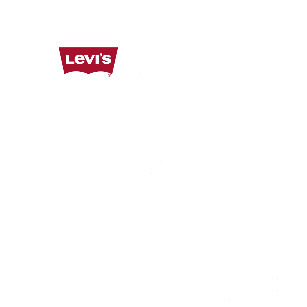 levis transparent bag