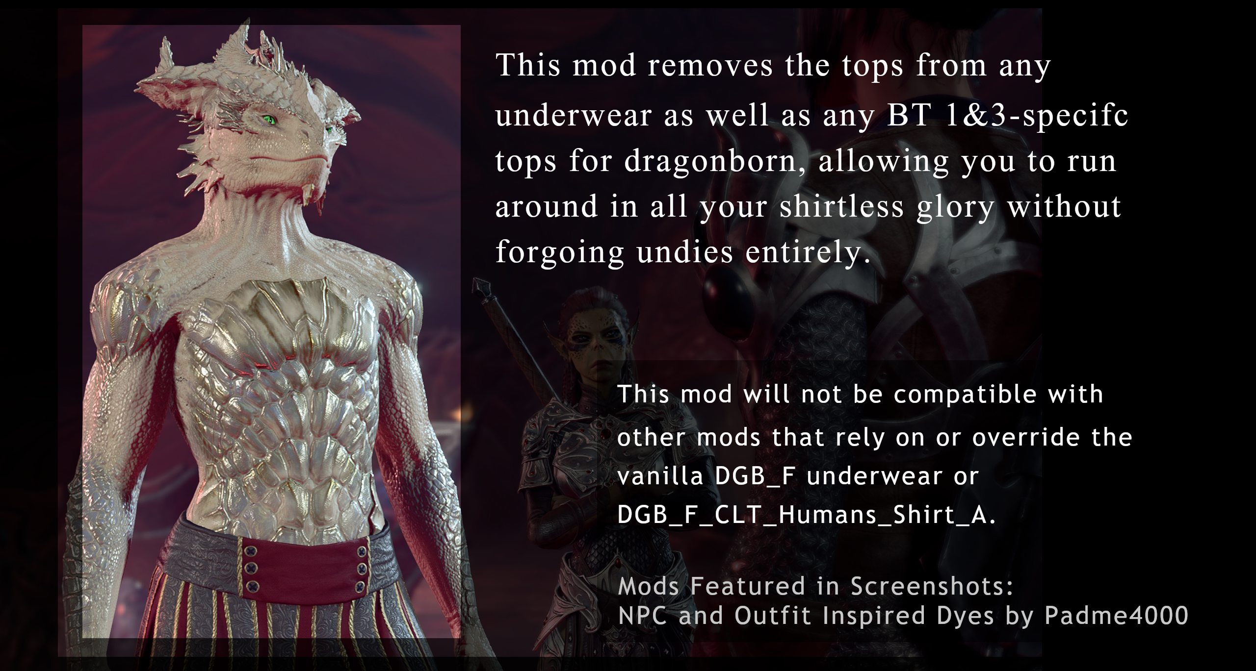 无胸衣的龙裔内裤模组 (And Hold the Bra – A Dragonborn Underwear Mod)