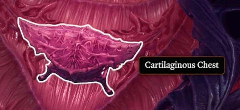 召唤教程宝箱 (Summon Tutorial Chest)