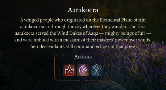 米尔里的翱翔者 (Mirri’s Aarakocra)