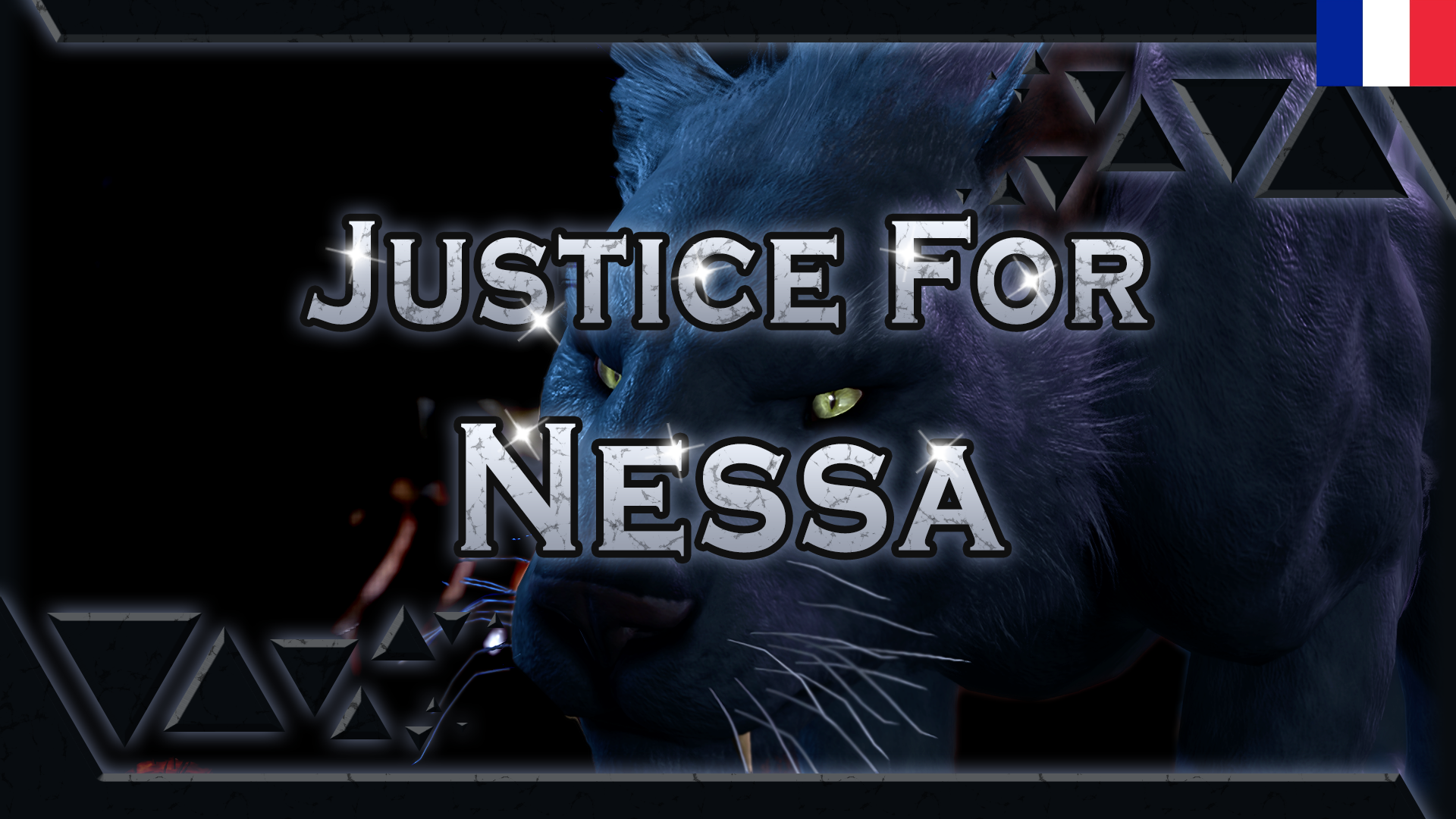 为 Nessa 正义 – 法语版 (Justice For Nessa – FR)