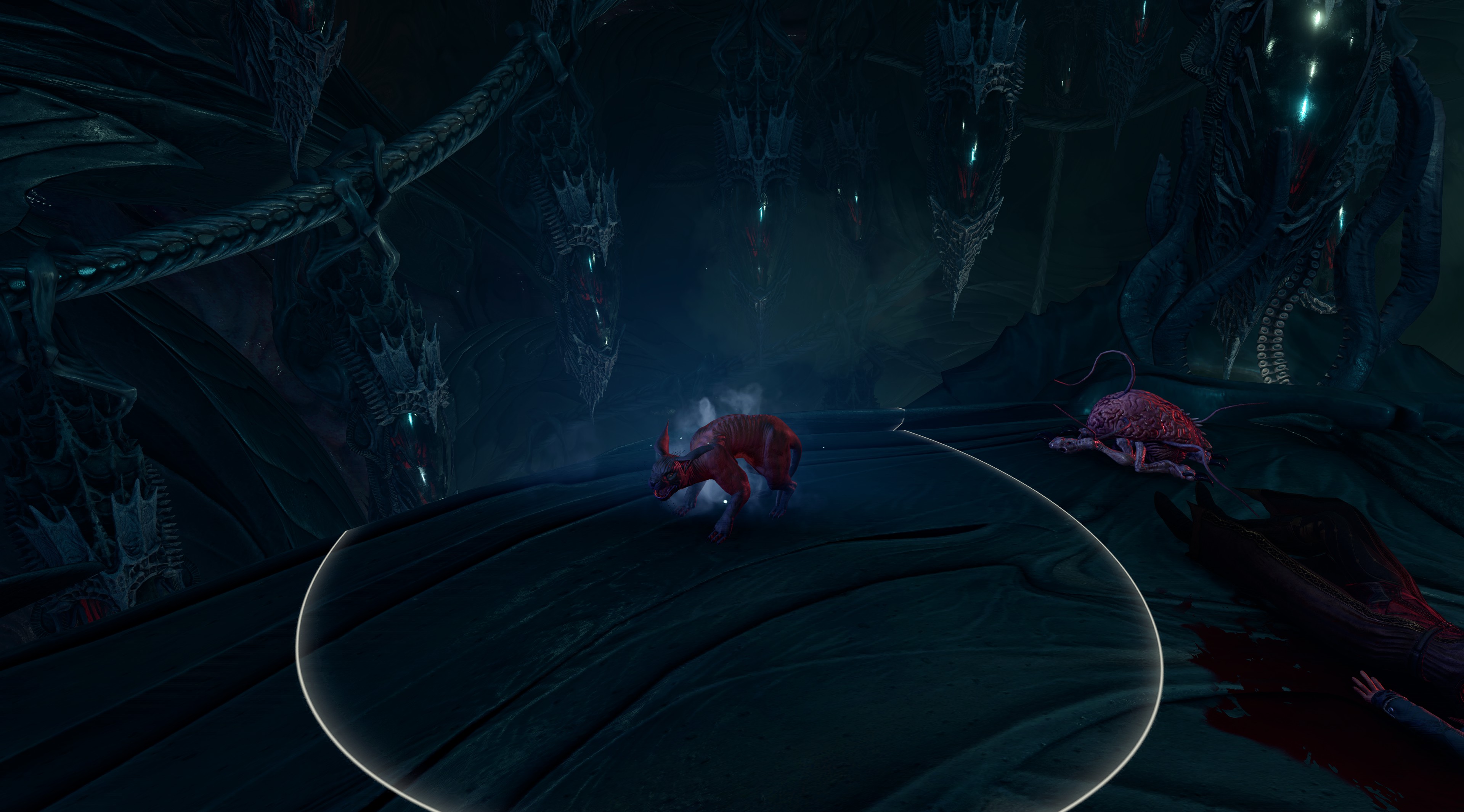 猫咪变形 (Kitty Cat Shapes)