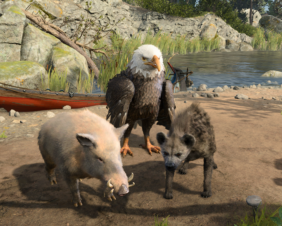 野形变身增强 (Wild Shape Additions)