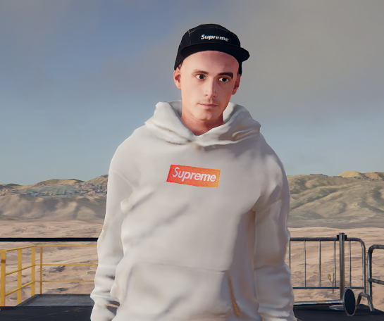 supreme hoodie with supreme on sleeves