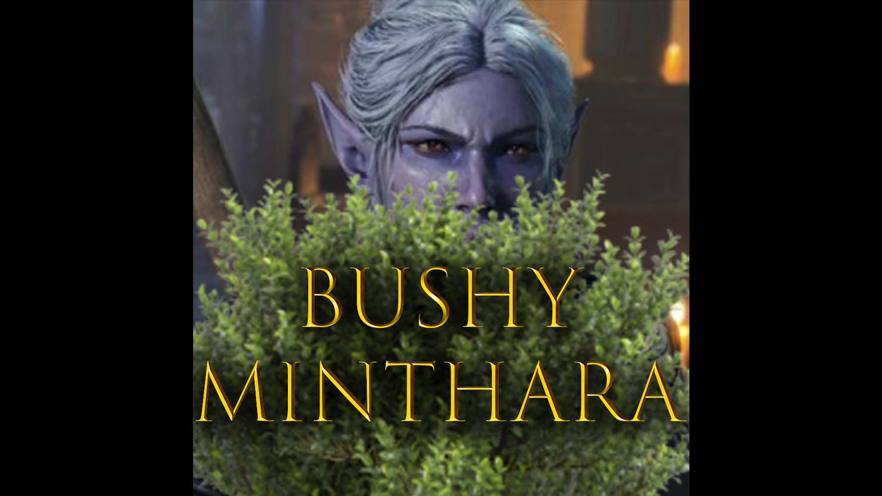 茂密的米恩塔拉 (Bushy Minthara)