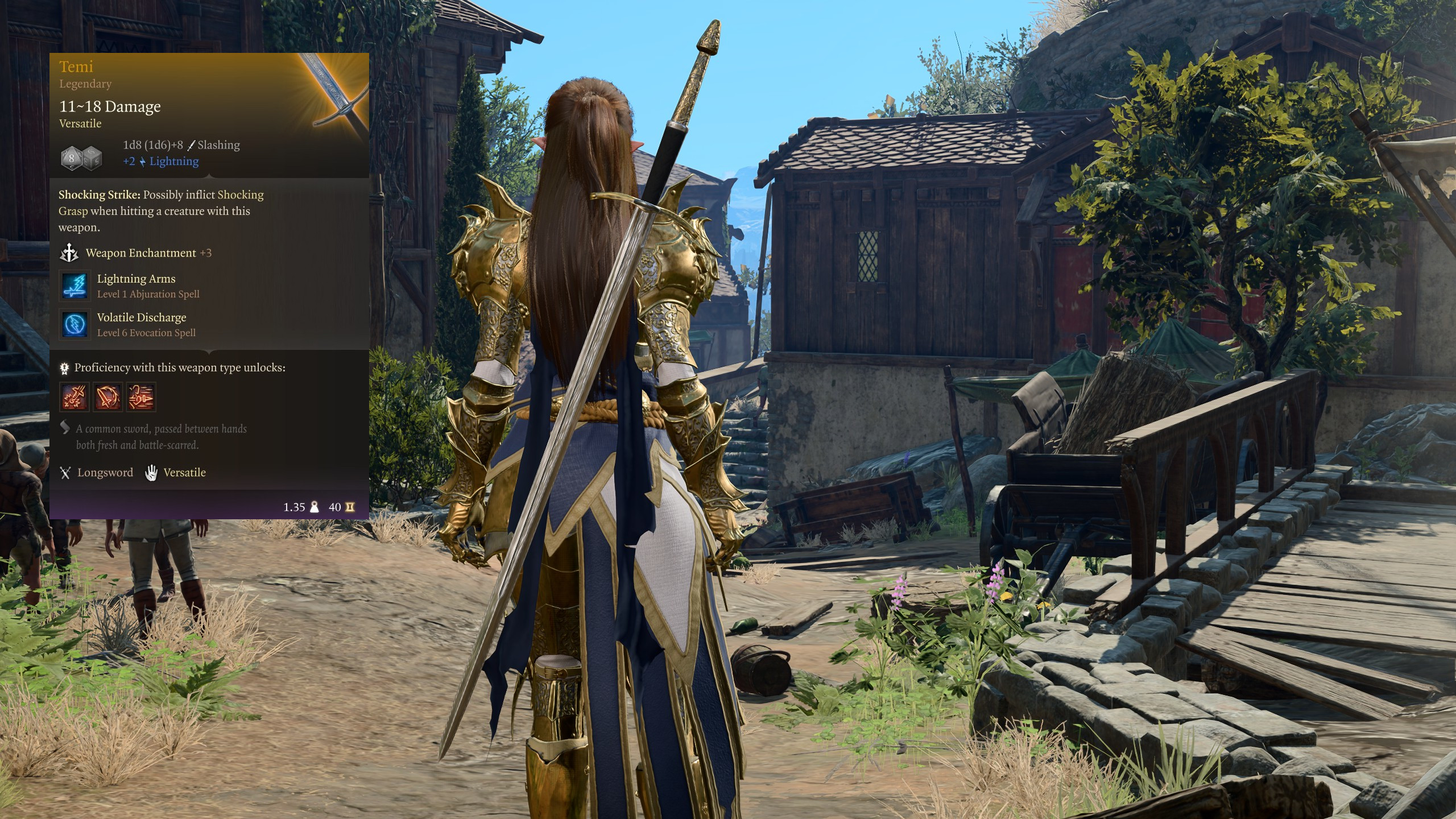 廷米长剑 + 游侠护甲套装 (Temi Longsword + Warden Armor Set)