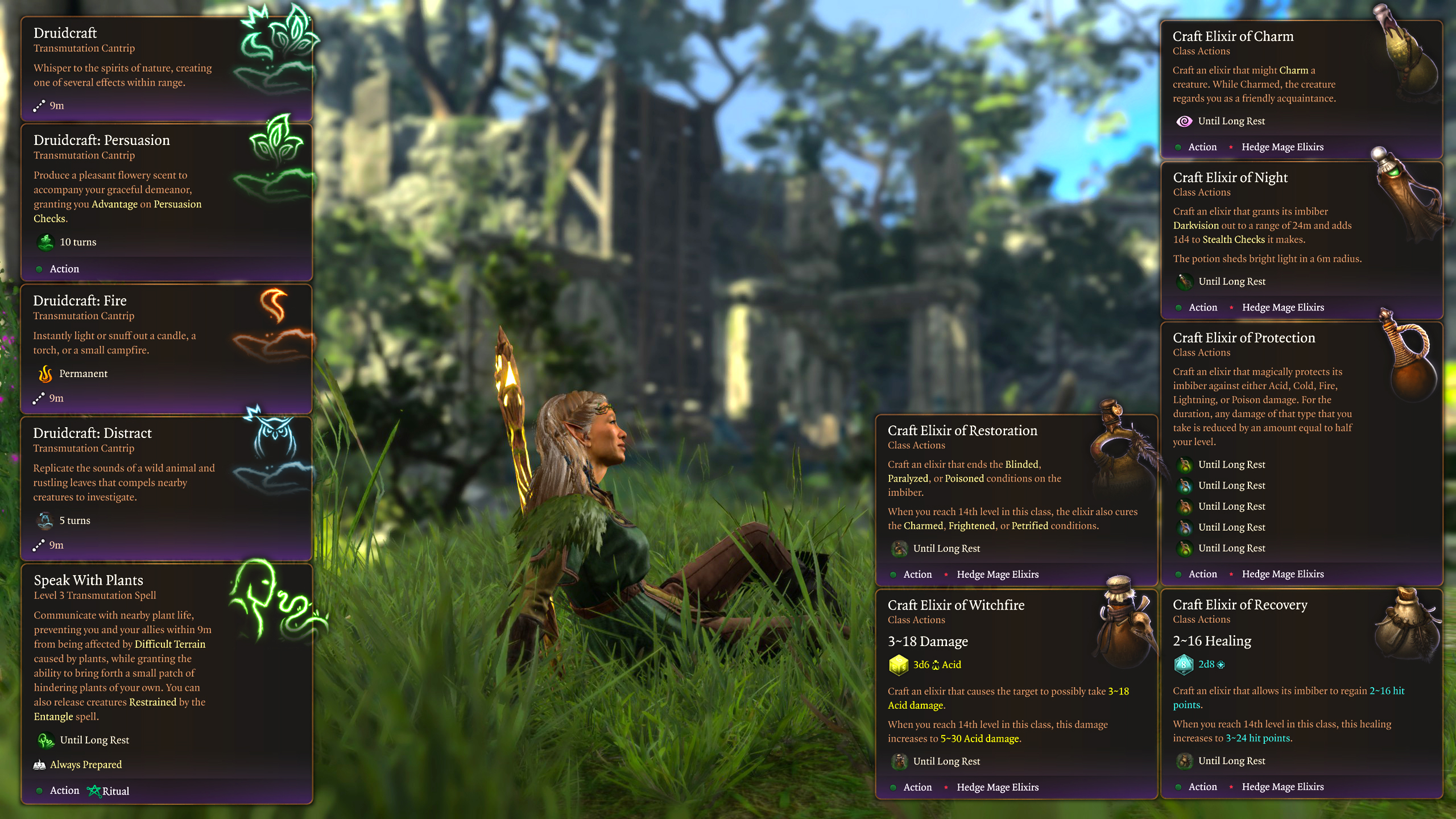 刺篱法师巫师副职业 (Hedge Mage Wizard Subclass)