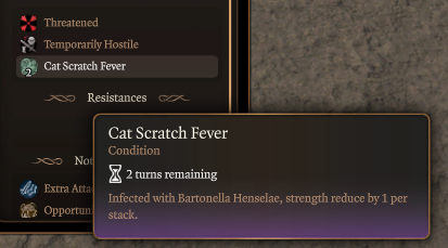 猫爱好者 (Cat Enthusiast)